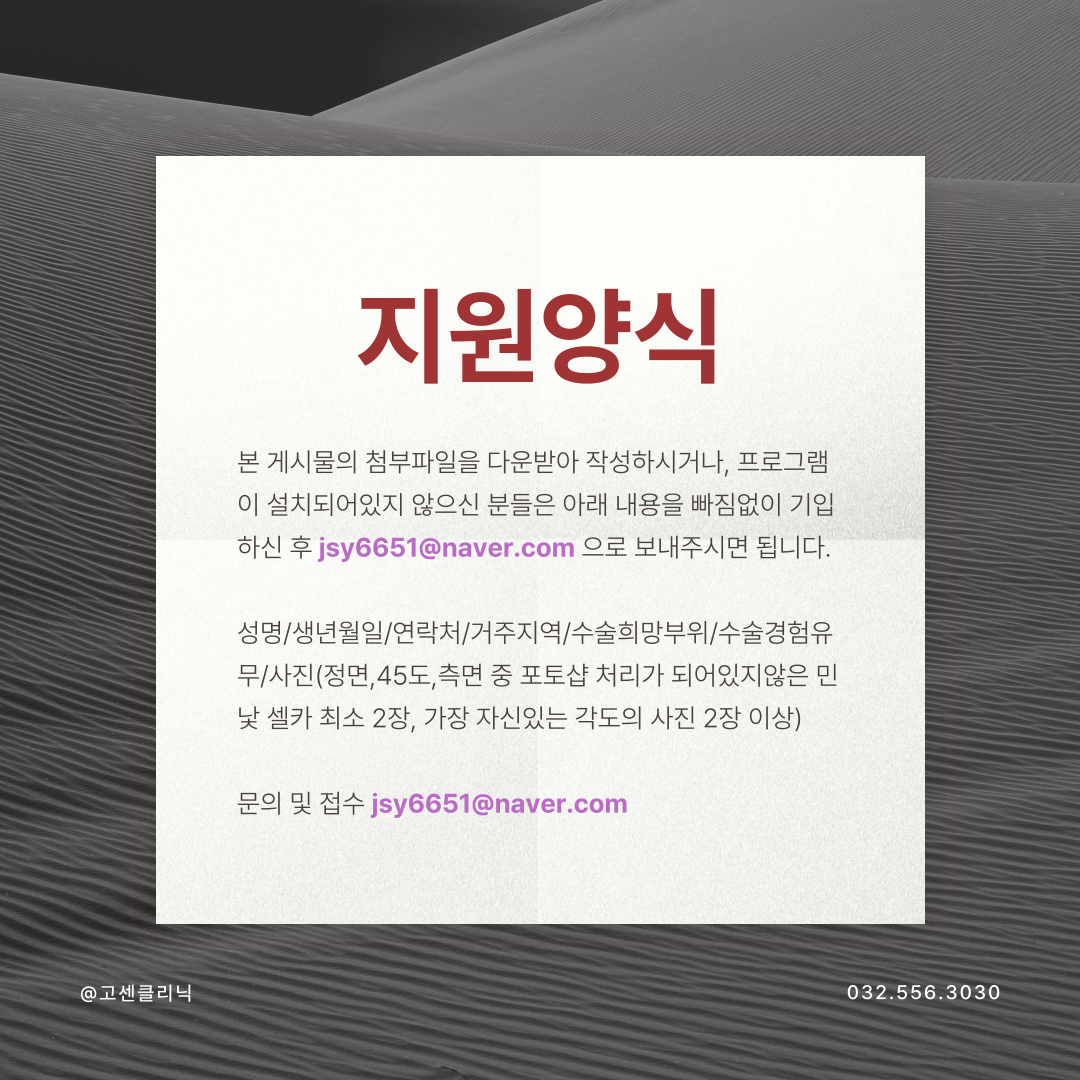 250312_모델모집3